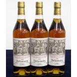 V 3 70-cl bts Delamain Grande Champagne Cognac 1995 landed 1997 bottled 2013