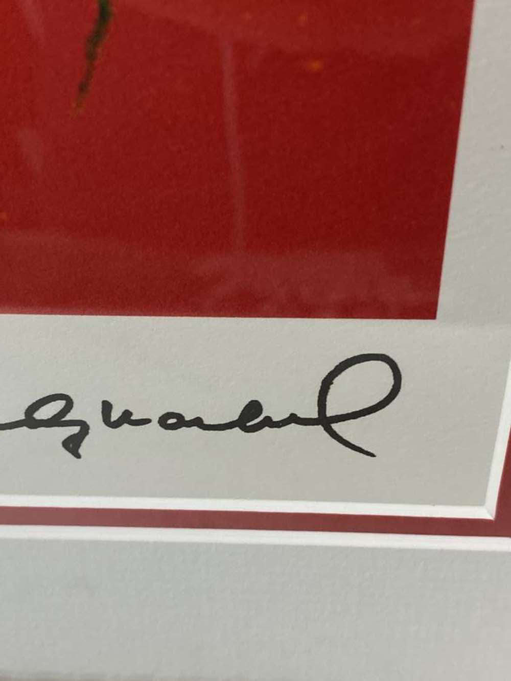 Andy Warhol (1928-1987) "Orangutang" Leo Castelli- New York Numbered Ltd Edition of #63/100 Lithogra - Image 3 of 6