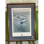 Wilfred Hardy Ltd Edition 959/1000 RAF "Phantom" Display
