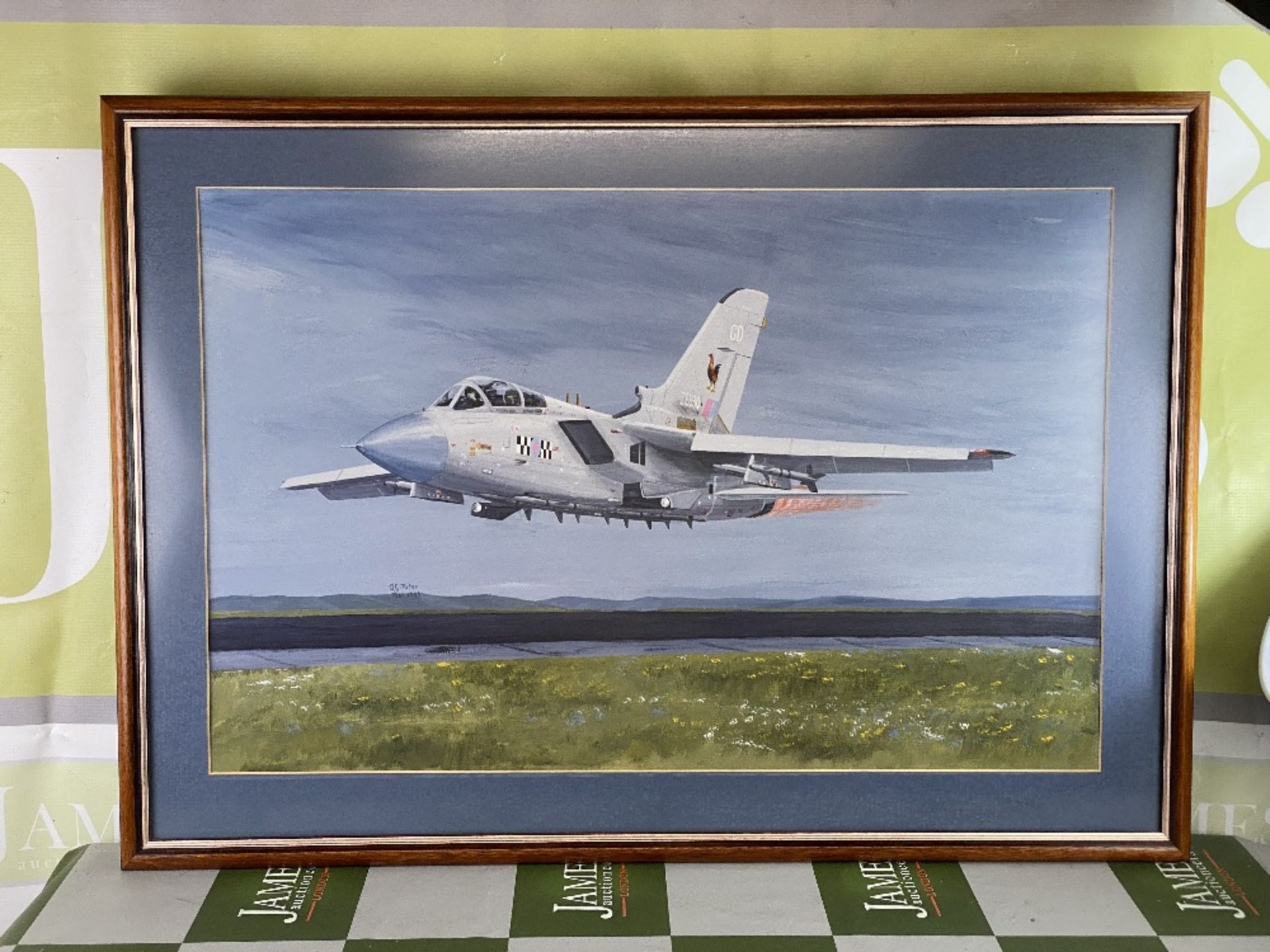 Artist AG Milne Signed & By RAF Pilots Framed Tornado Picture