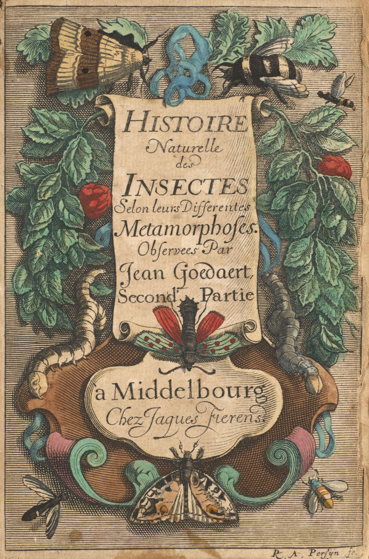 Zoologie - Entomologie - - Jean