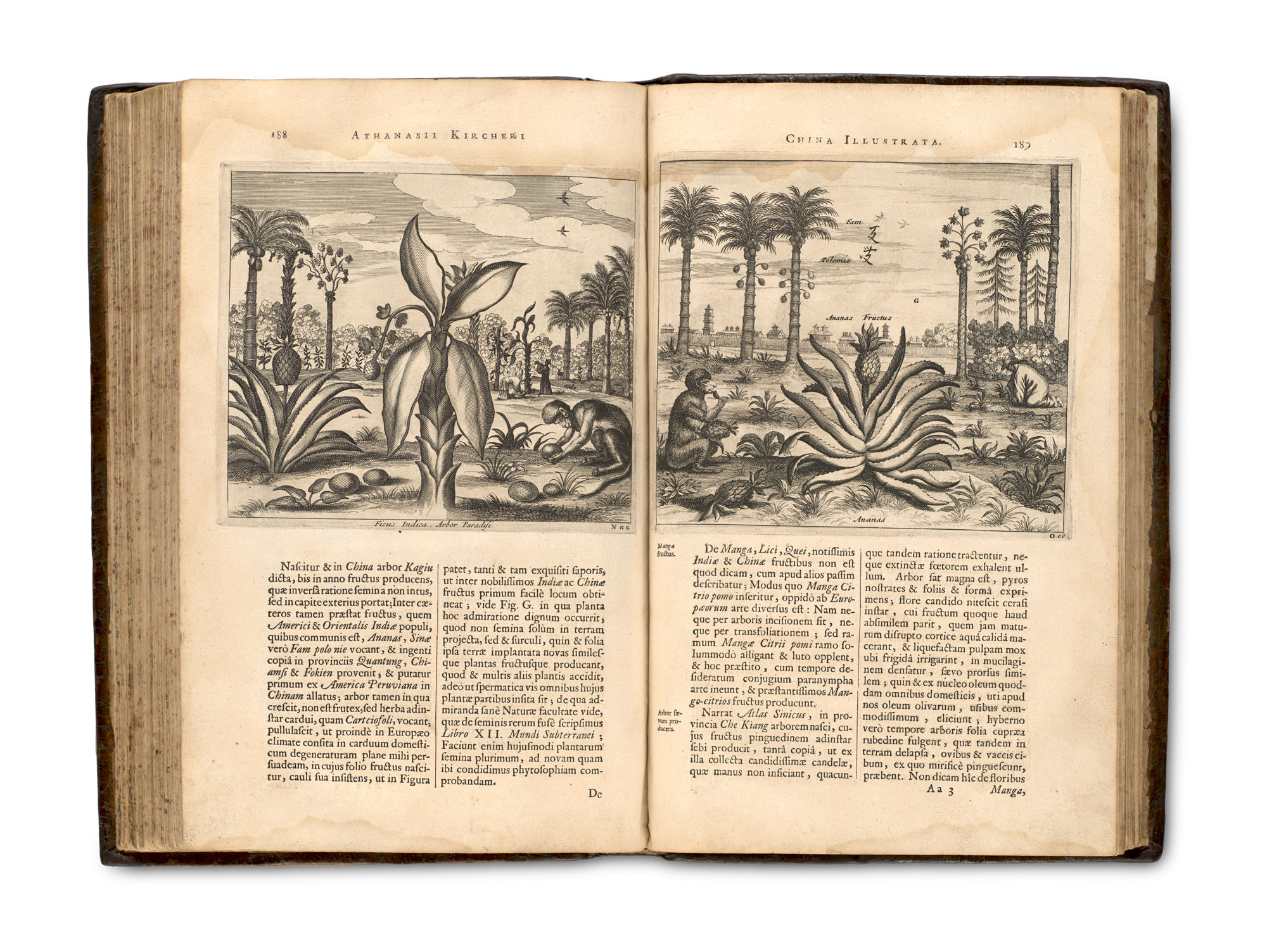 China - - Athanasius Kircher. China - Image 5 of 5