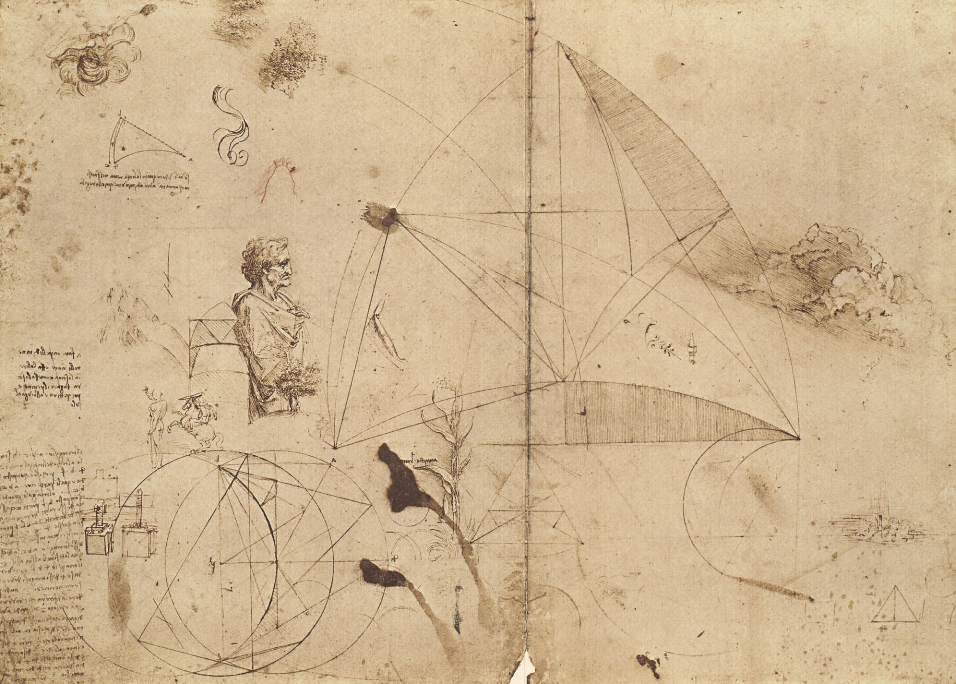 Da Vinci, Leonardo - - Die Zeichnungen - Image 2 of 2