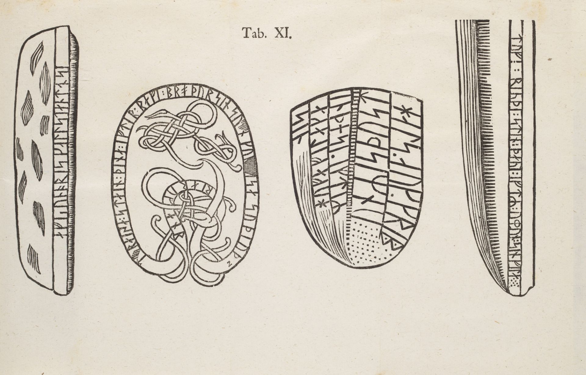 Zoologie - Conchologie - - Kilian - Bild 4 aus 4