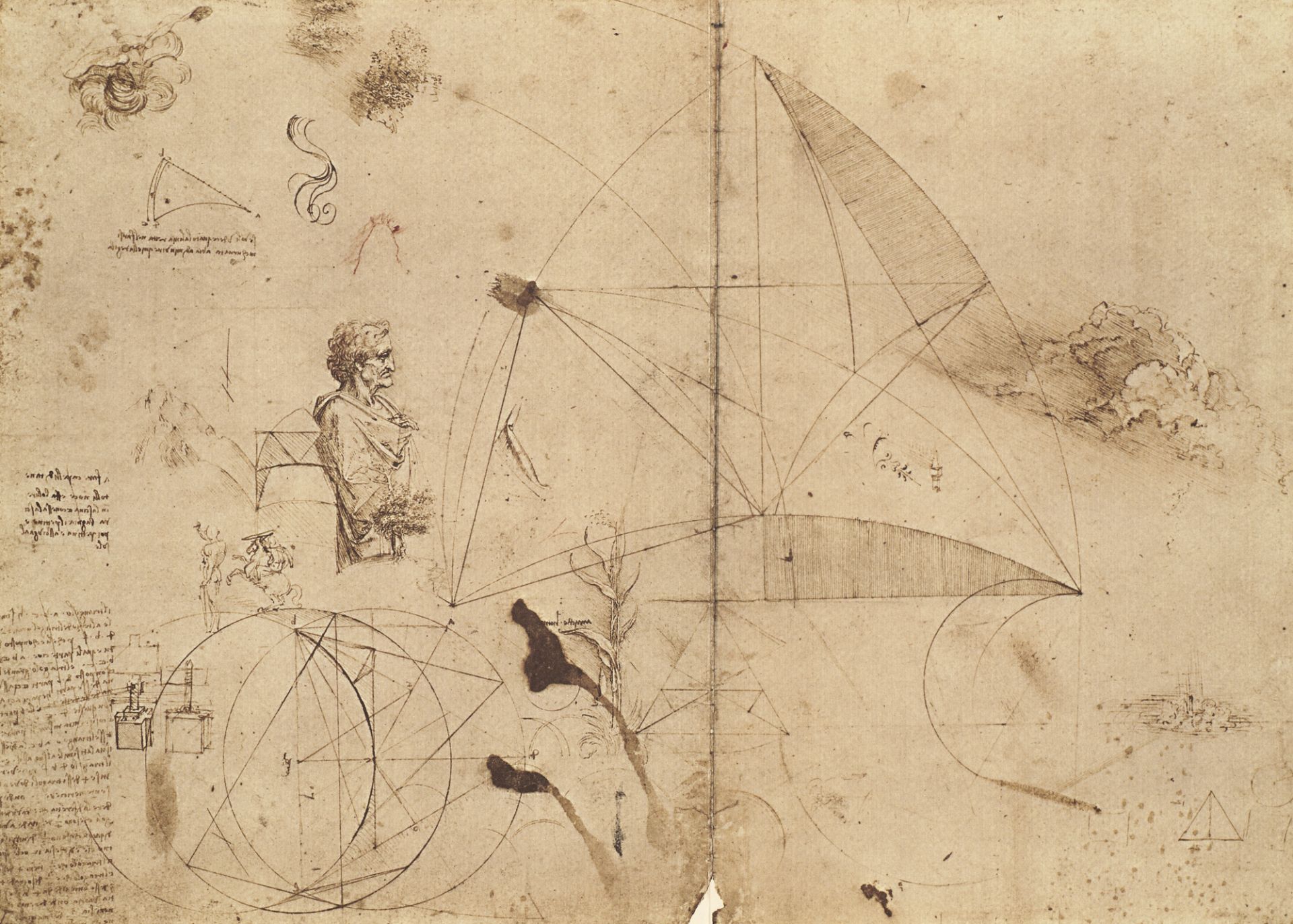 Da Vinci, Leonardo - - - Image 2 of 2