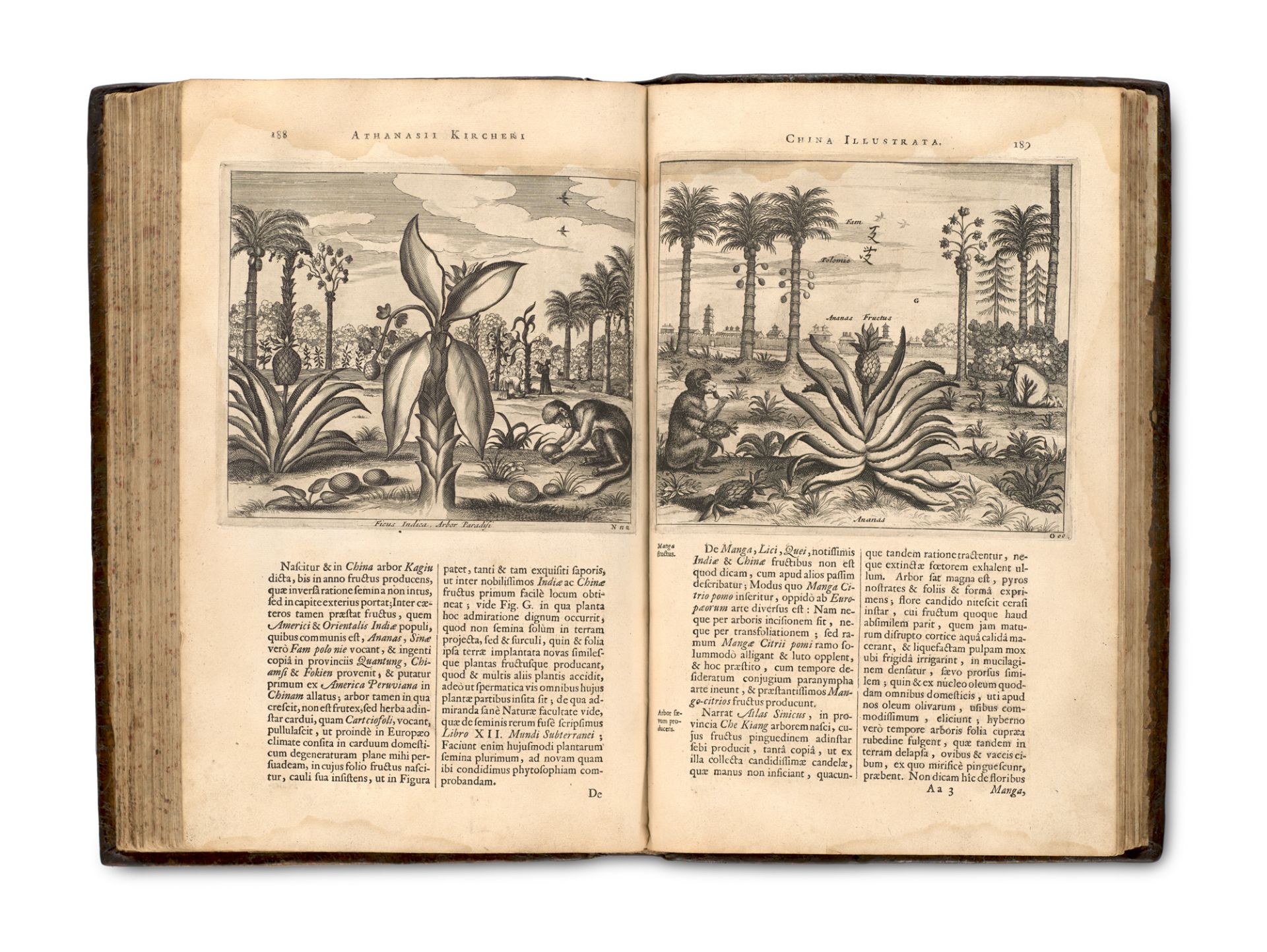 China - - Athanasius Kircher. China - Bild 5 aus 5