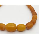 Graduated butterscotch amber bead necklace, 35cm long, 21.2g approx
