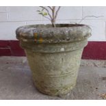 Well weathered reconstituted stone planter, banded decoration and planted up, 44 x 52cm