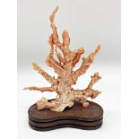 Late 19th / early 20th century Chinese angel skin coral carving of birds in a tree, hardwood