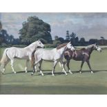 Alexander Charles-Jones (b. 1959) - Three Polo Ponies, signed, gouache, 52 x 72cm, framed