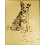 Lucy Dawson (1875-1954) - pencil study of a a dog, 'Corky' belonged to W. Henry East of