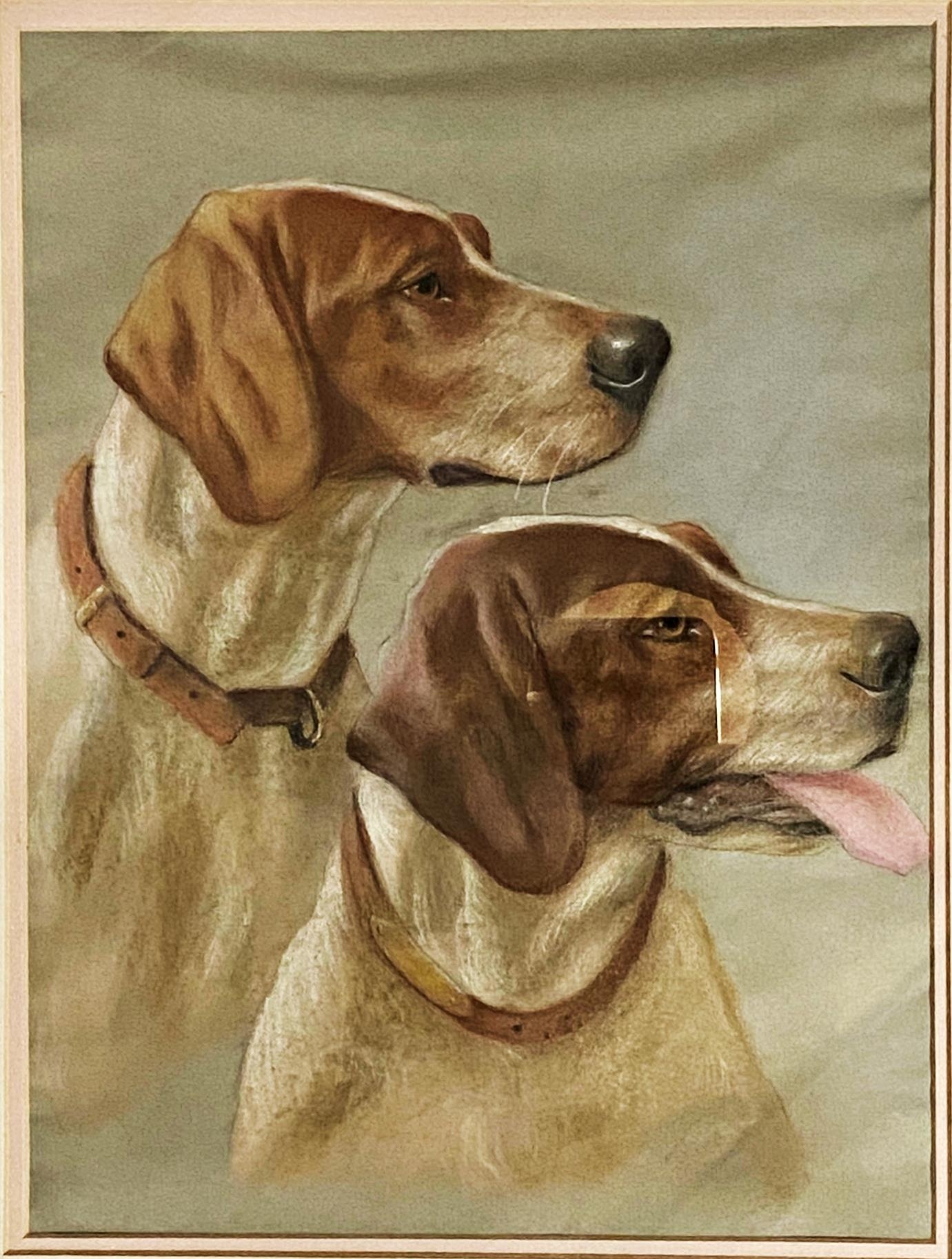 20th century school - bust study of two Pointers, unsigned, pastel, 33 x 25cm, framed