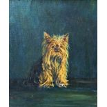 20th century school - portrait of a seated Yorkshire Terrier, oil on canvas, 44 x 34cm, framed