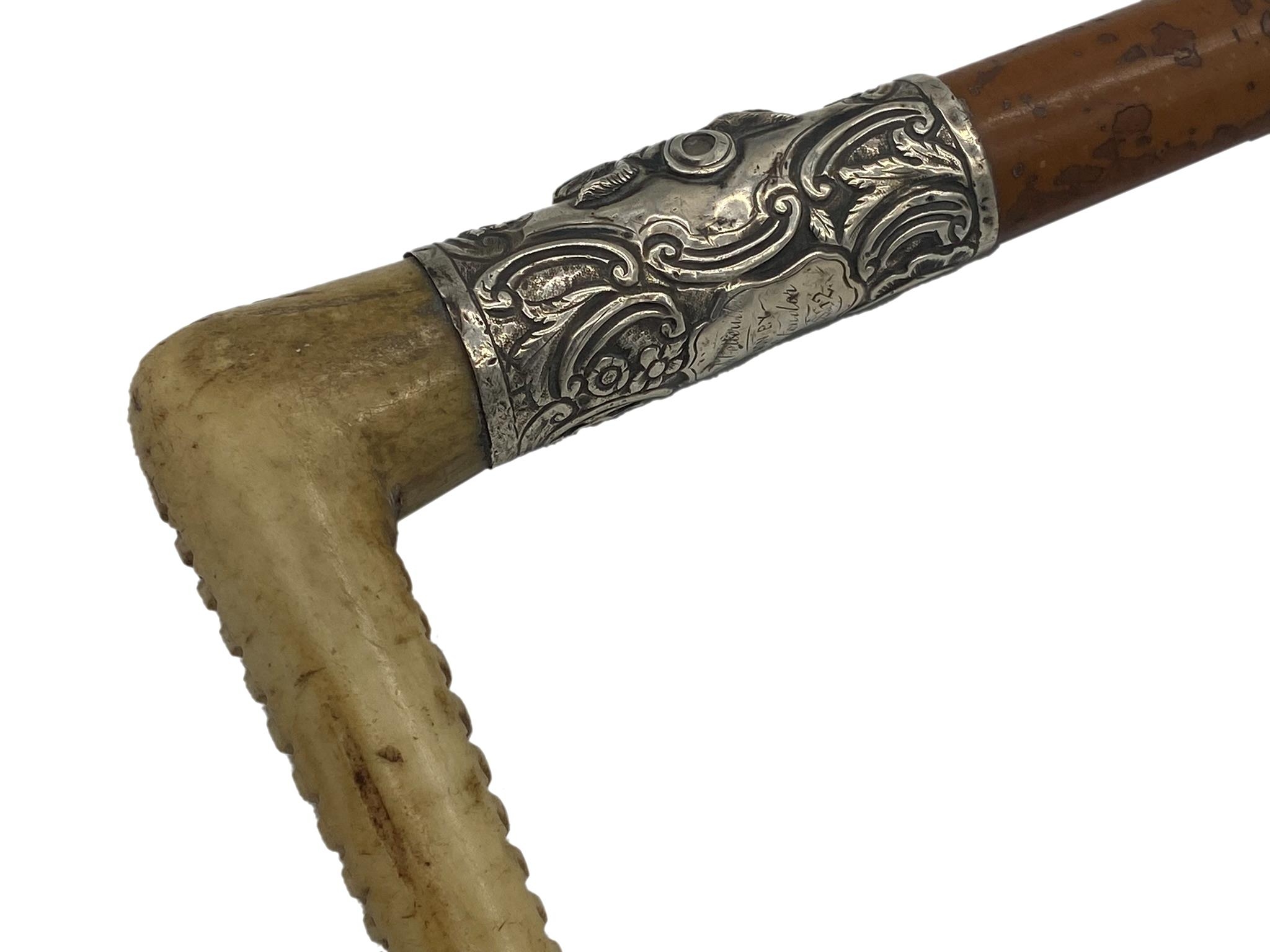 Exceptional quality early 20th century Malacca horn handled riding whip with silver collar - Image 2 of 2