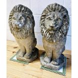 Good pair of reconstituted stone seated lions, 53cm high