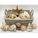 A basket containing a large collection of shells