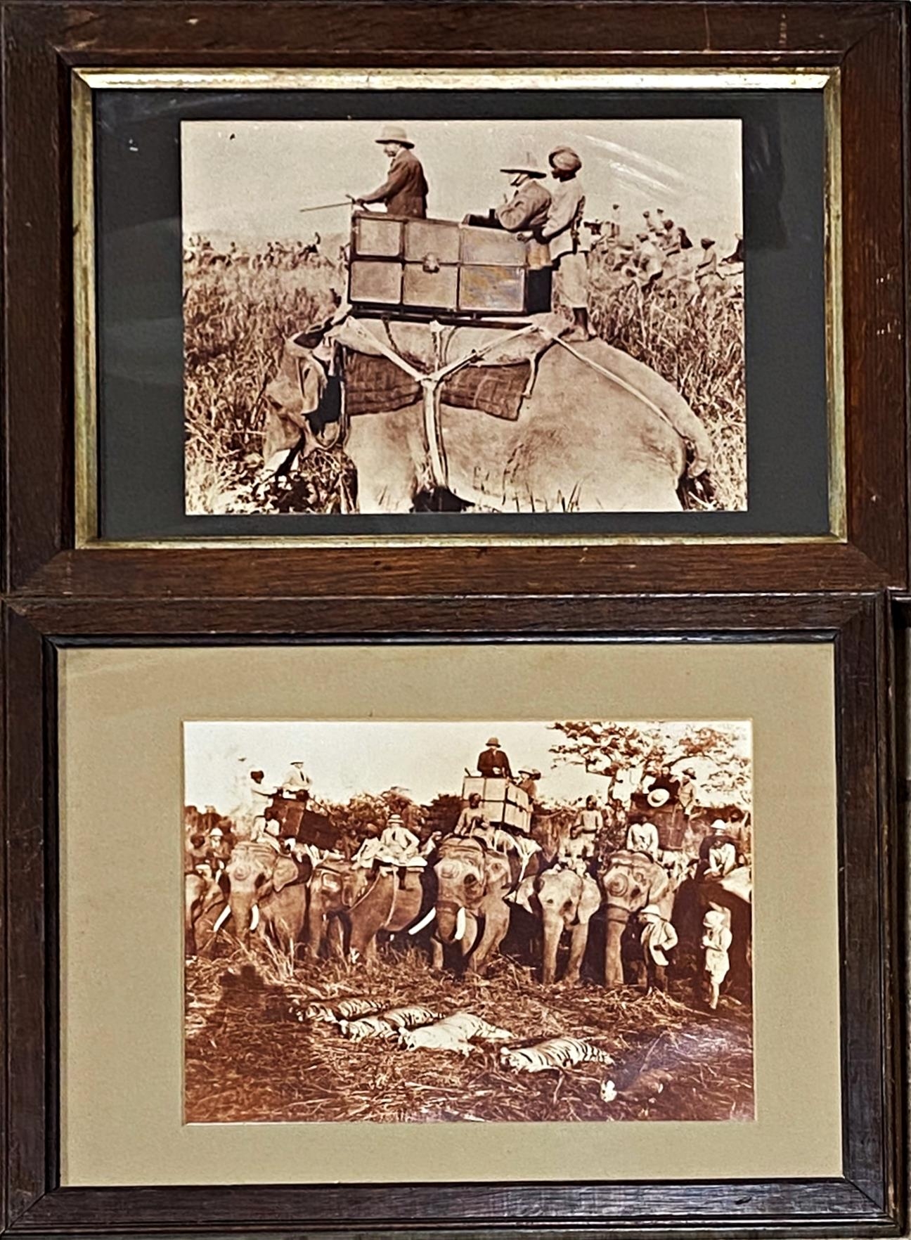 Two sepia photographic prints of a shooting Tiger party including George V, mounted on elephants,