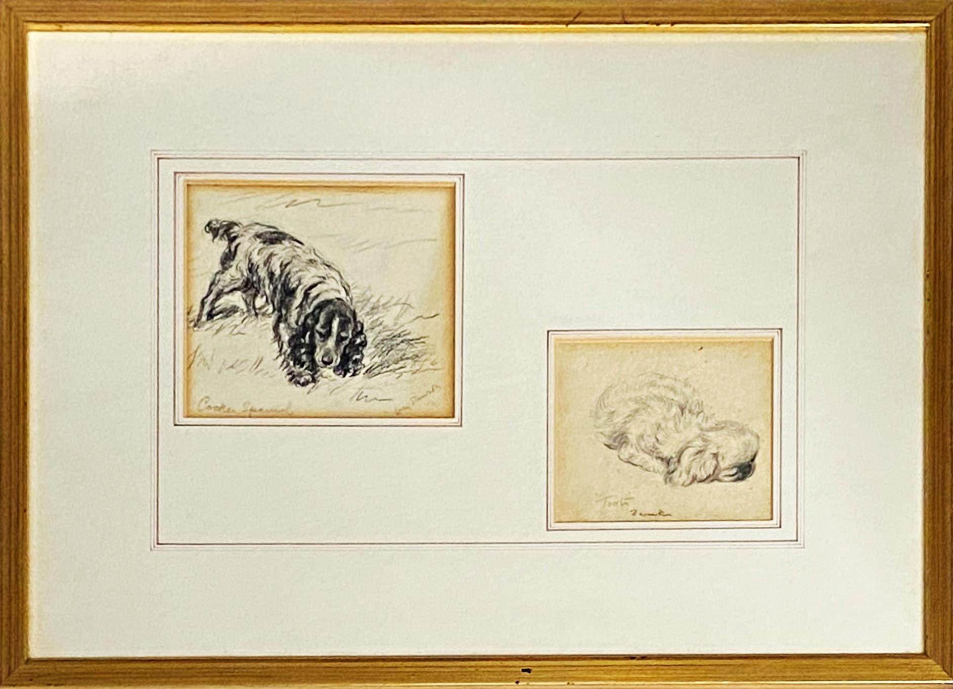 Lucy Dawson (1875-1954) - two pencil studies of a Cocker Spaniel, 11.5x12.5cm, and a Pekingese ' - Image 2 of 2