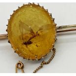An interesting antique yellow metal bar brooch set with a central piece of amber, two insects