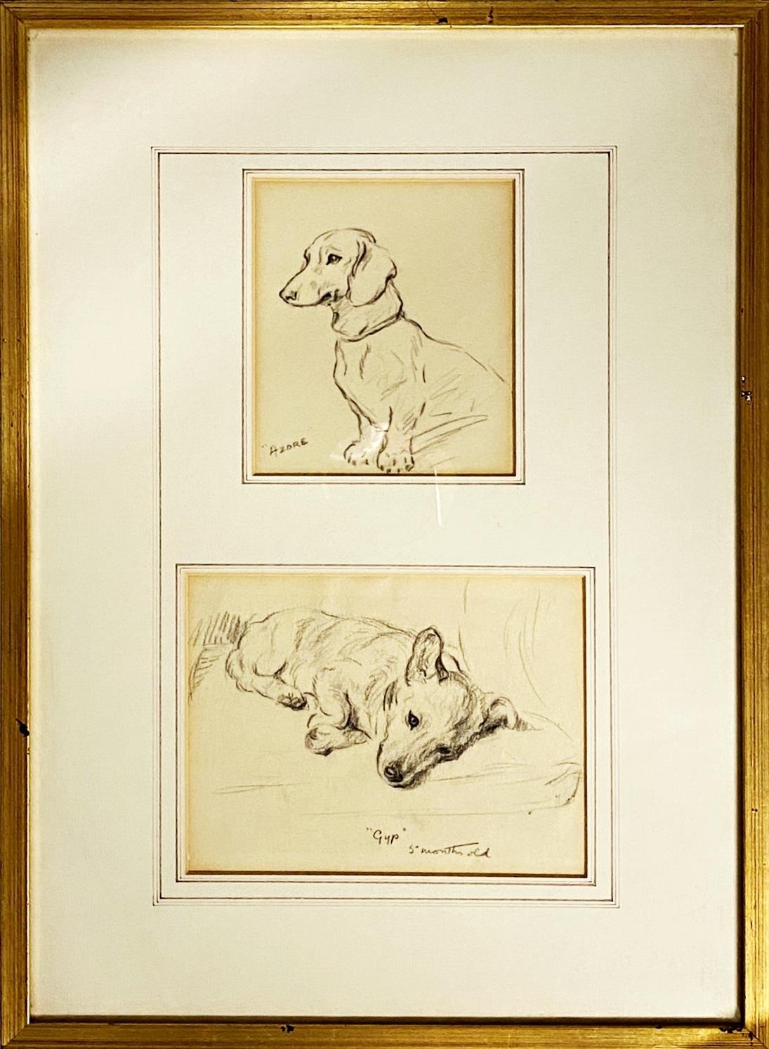 Lucy Dawson (1875-1954) - pencil study of a Dachshund 'Azore', 14.5x12cm, and one other 'Gyp- 5 - Image 2 of 2