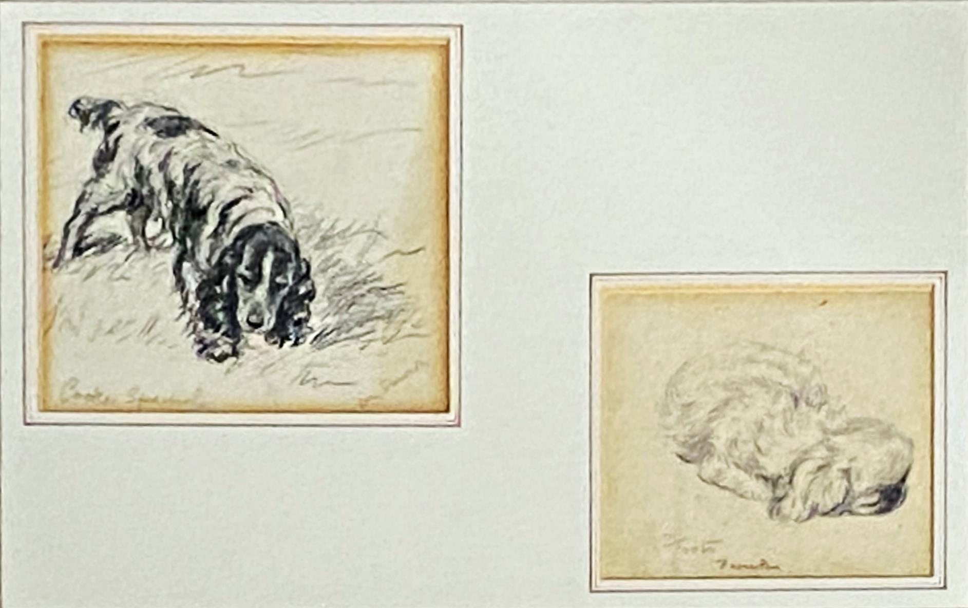 Lucy Dawson (1875-1954) - two pencil studies of a Cocker Spaniel, 11.5x12.5cm, and a Pekingese '