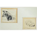 Lucy Dawson (1875-1954) - two pencil studies of a Cocker Spaniel, 11.5x12.5cm, and a Pekingese '
