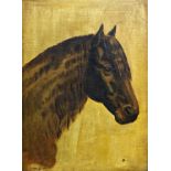 Early 20th century school - bust portrait of a pony, monogrammed WH and dated 1901, oil on canvas,