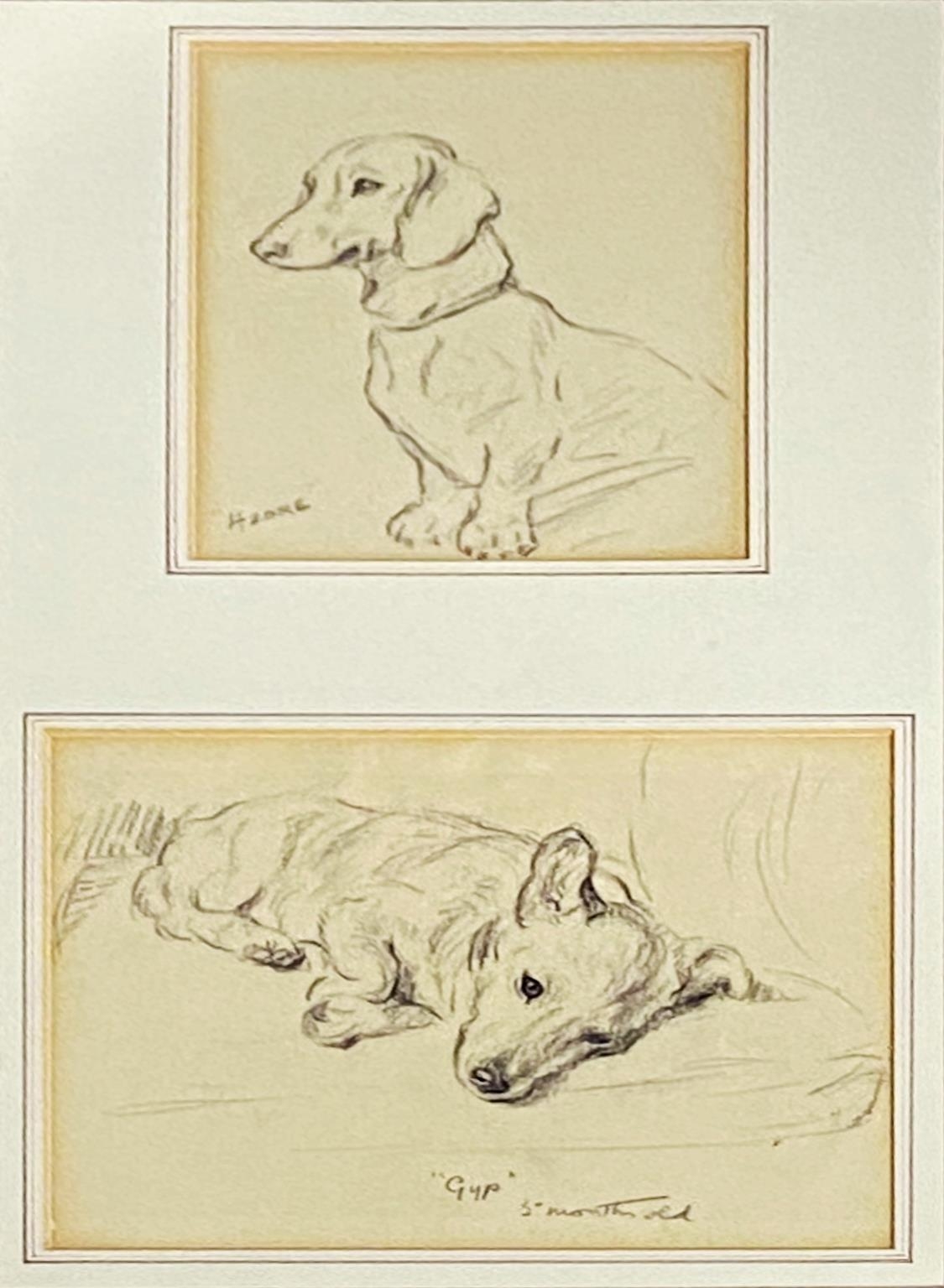 Lucy Dawson (1875-1954) - pencil study of a Dachshund 'Azore', 14.5x12cm, and one other 'Gyp- 5