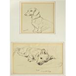 Lucy Dawson (1875-1954) - pencil study of a Dachshund 'Azore', 14.5x12cm, and one other 'Gyp- 5