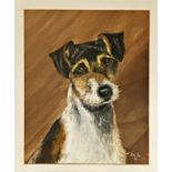 20th century school - bust portrait of a Fox Terrier, monogrammed MJ, pastel and gouache, 24 x 19cm,