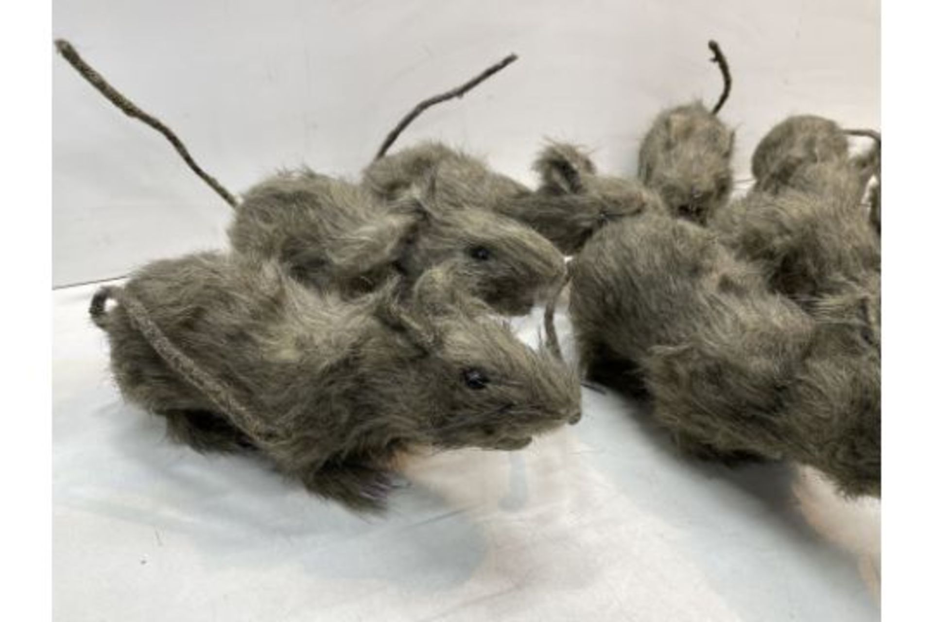 8 x Furry Rat Props - Image 2 of 2