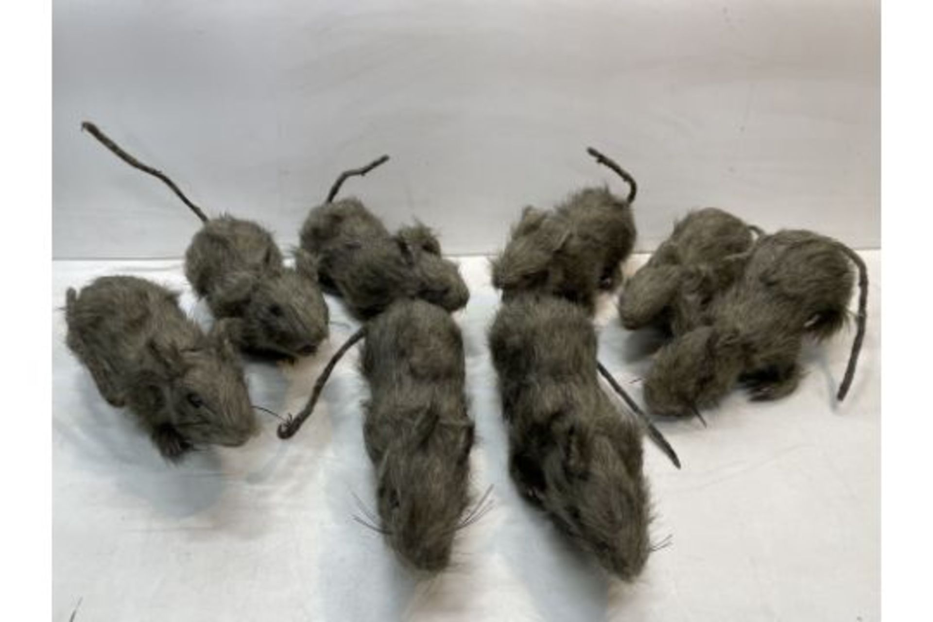 8 x Furry Rat Props