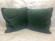 2 X Green Cushions