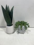 2x Fake Plant in Pots