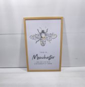 Manchester Bee Framed Print | Size: 450 x 625mm