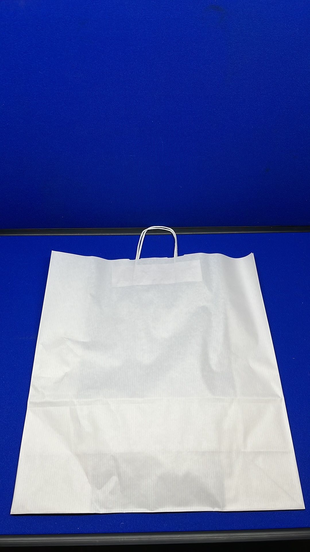 450 x Top twist Classic White Paper Bags