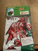 1044 x Novelty Welsh Themed Inflatables | See description