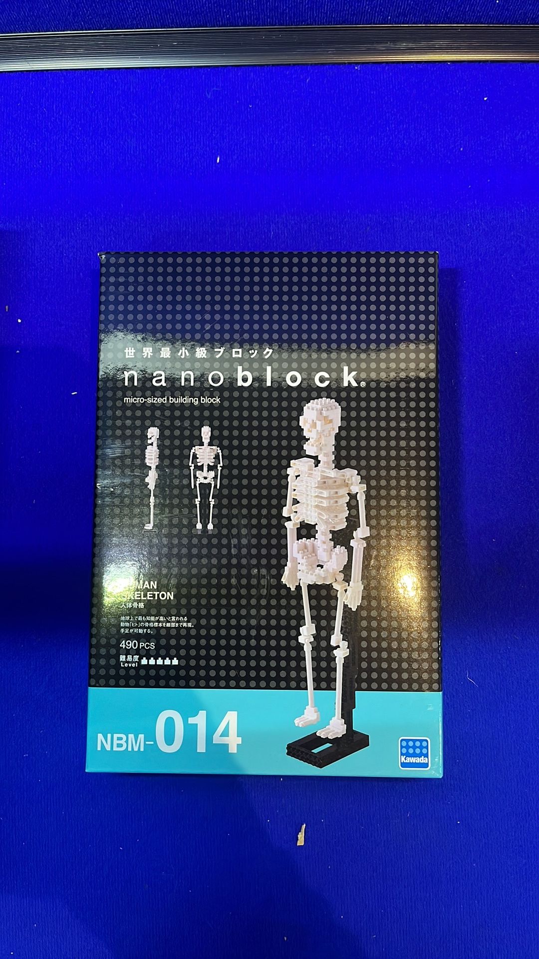 6 x Nanoblock Human Skeleton Body Building Blocks