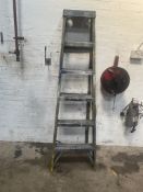 6 Tread Step Ladder