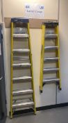 2 x 5/6 Tread Step Ladders