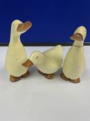 Trio of Ducklings by DCUK