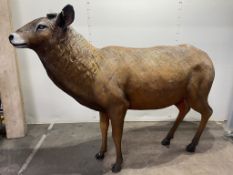 Ex Display Deer Garden Sculpture | Approximately 190cm x 155cm