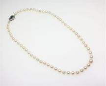 Zuchtperlkette