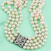 Collier de Chien mit Perlen und Brillantschließe