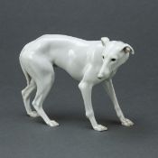 Windhund (Greyhound). Gebr. Heubach, Lichte Kunstporzellan 1909-1945.