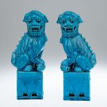Paar Fo-Hunde, China, 20. Jahrhundert
