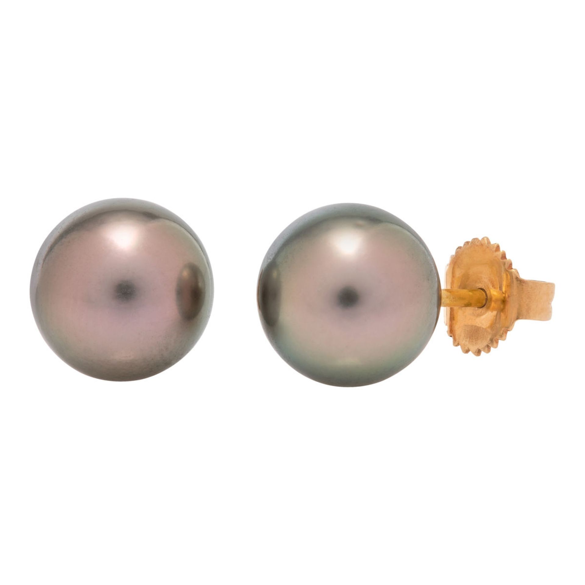 Pair of Tahiti pearl ear studs