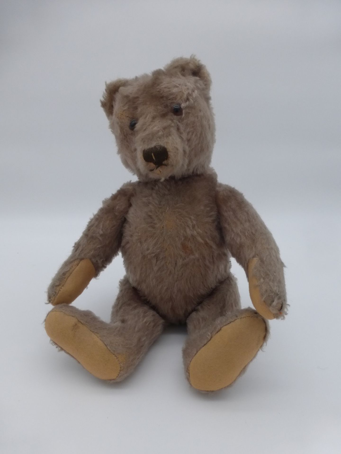 Teddybär 1.H.20.Jh.