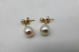 Paar Ohrhänger GG750 mit Perlen