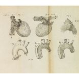 Richard Lower Tractatus de corde. Item de motu & colere sanguinus et chyli in eum transitu.